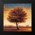 thumbnail image 2 of Williams, Gregory 20x20 Black Modern Framed Museum Art Print Titled - Splendor II, 2 of 5
