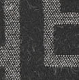 Black Jacquard
