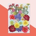 thumbnail image 2 of Flores secas naturales Artesanía en relieve Ramos de flores prensadas Decoraciones florales secas Regalos de suministro de hogar para tarjetas de boda Vela Verano Scienceny HA010752-09, 2 of 7