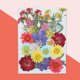 thumbnail image 2 of Flores secas naturales Artesanía en relieve Ramos de flores prensadas Decoraciones florales secas Regalos de suministro de hogar para tarjetas de boda Vela Verano Methold HA010752-09, 2 of 7