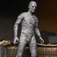 thumbnail image 5 of NECA momia faraón egipcio antiguo monstruo Universal versión en Color modelo de figura móvil de 7 pulgadas, 5 of 5