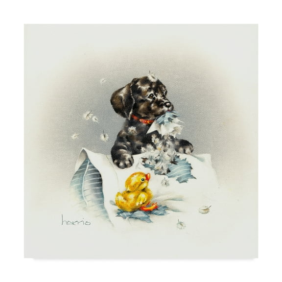 Trademark Fine Art 'Just Ducky Pillow' Canvas Art by Peggy Harris