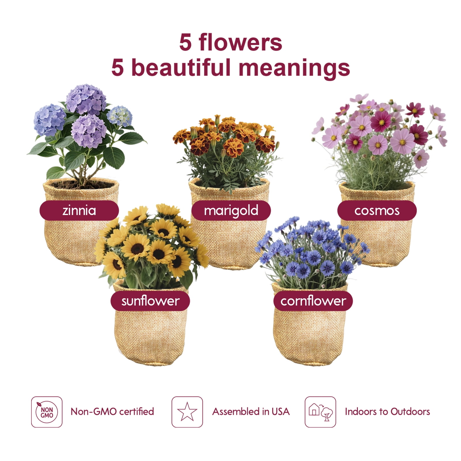 5 Indoor Flower Growing Kits – Complete Planting Starter Set with Sunflower, Zinnia, Marigold, Cosmos, and Cornflower Seeds. A Unique Birthday or Christmas Gift for Women, Men, and Plant Lovers