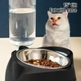 thumbnail image 4 of IPEWLEX Pet Bowl for Cats and Dogs, 2-in-1 Drinking Water and Food Bowl, Inclined Design, Non-Slip Base, Easy to Clean, Blue, 4 of 6