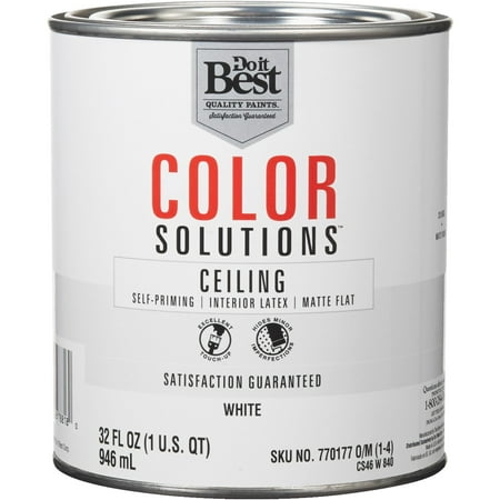 Do it Best Color Solutions Latex Self-Priming Flat Ceiling (Best Way To Get Latex Paint Out Of Carpet)
