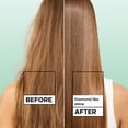 thumbnail image 3 of Garnier Fructis Diamond Sleek Shine Spray for Frizzy and Dry Hair, 4.6 fl oz, 3 of 11