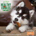 thumbnail image 5 of Nylabone Healthy Edibles All-Natural Long Lasting Puppy Chew Treats Turkey & Sweet Potato X-Small (4 Count), 5 of 12