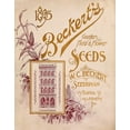 thumbnail image 2 of Vintage Apple Collection 15x18 White Modern Wood Framed Museum Art Print Titled - Beckerts, 2 of 4