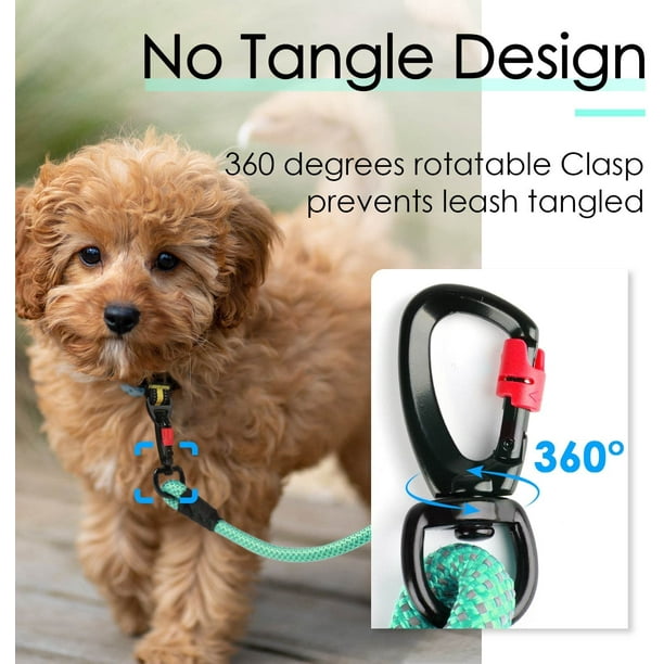 Neon dog leash cheap
