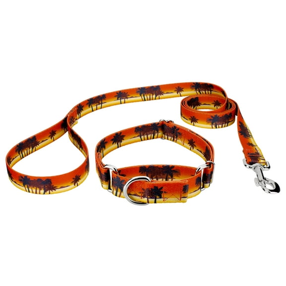 Country Brook Petz® Caribbean Sunset Martingale Dog Collar and Leash, Large