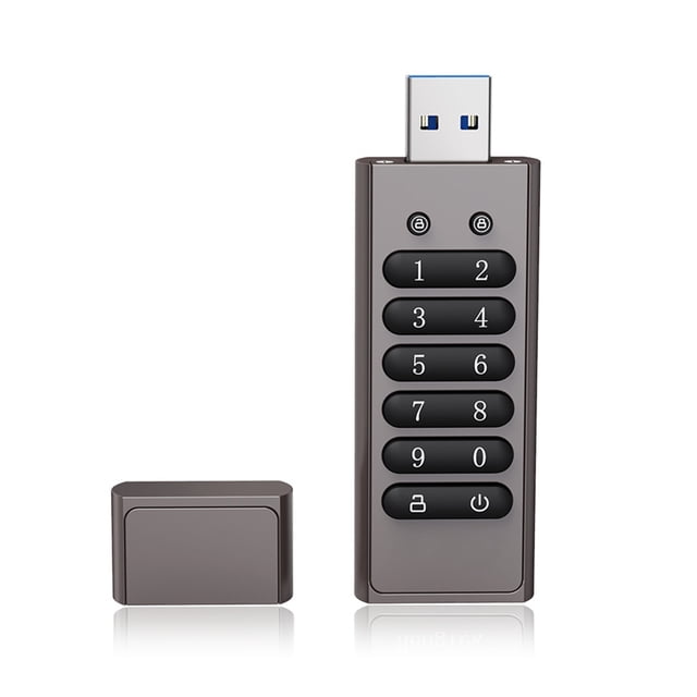 Contraseña 128 GB 256 bits Contraseña USB Passa Contraseña Segura Flash Drive USB3.0 U RESET/TIMINACIÓN/FUNCION DE BLOQUEO Auto, Gris