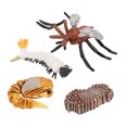 thumbnail image 4 of Juguete de ciclo de crecimiento de animales Sunnimix educativo para niños, 4 of 8