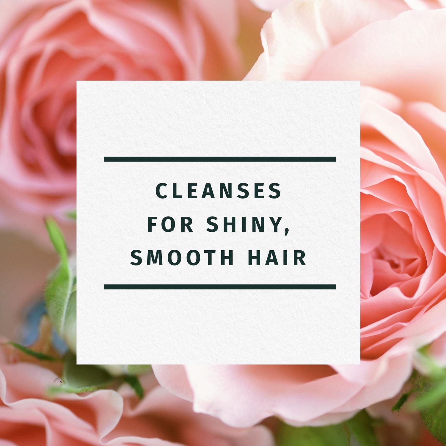 Herbal Essences Rose Hips Smooth Shampoo