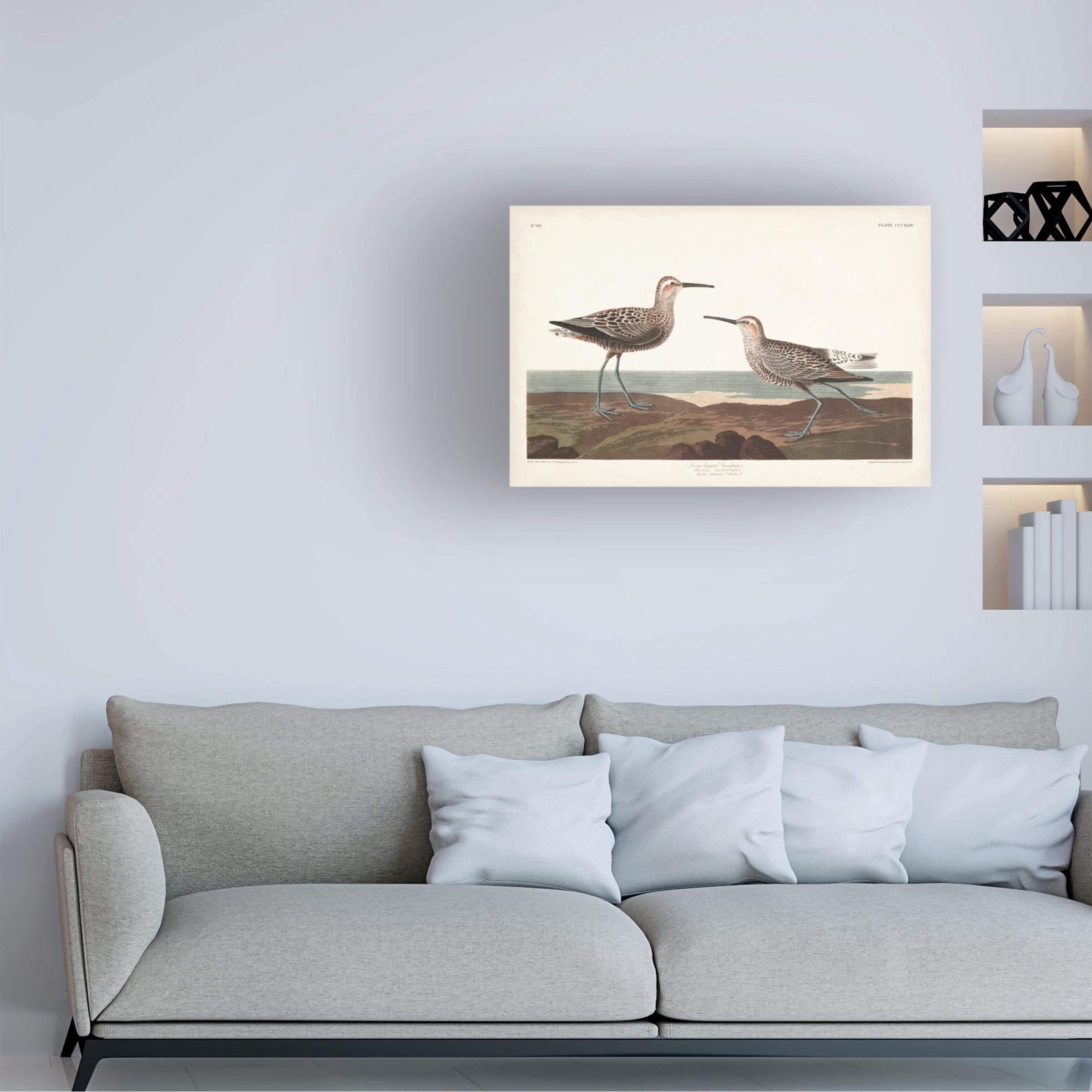 John James Audubon 'Long Legged Sandpiper' Canvas Art