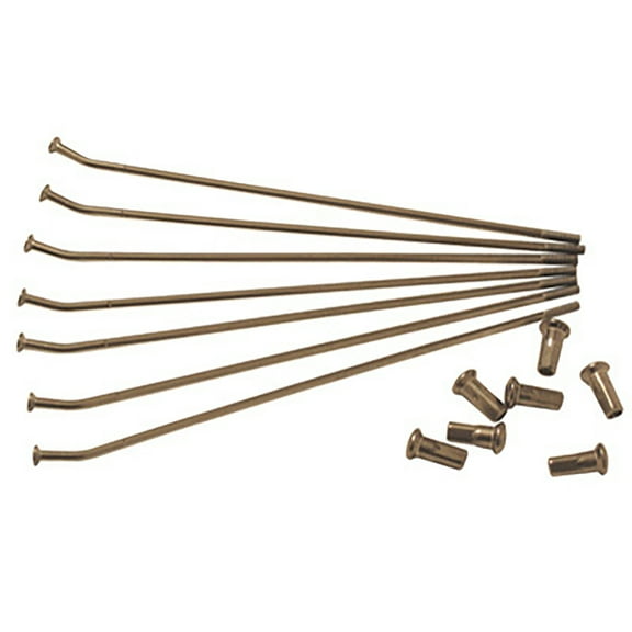 Warp 9 Spoke Kit - Rear 18 Compatible With Gas Gas MC 125 2021