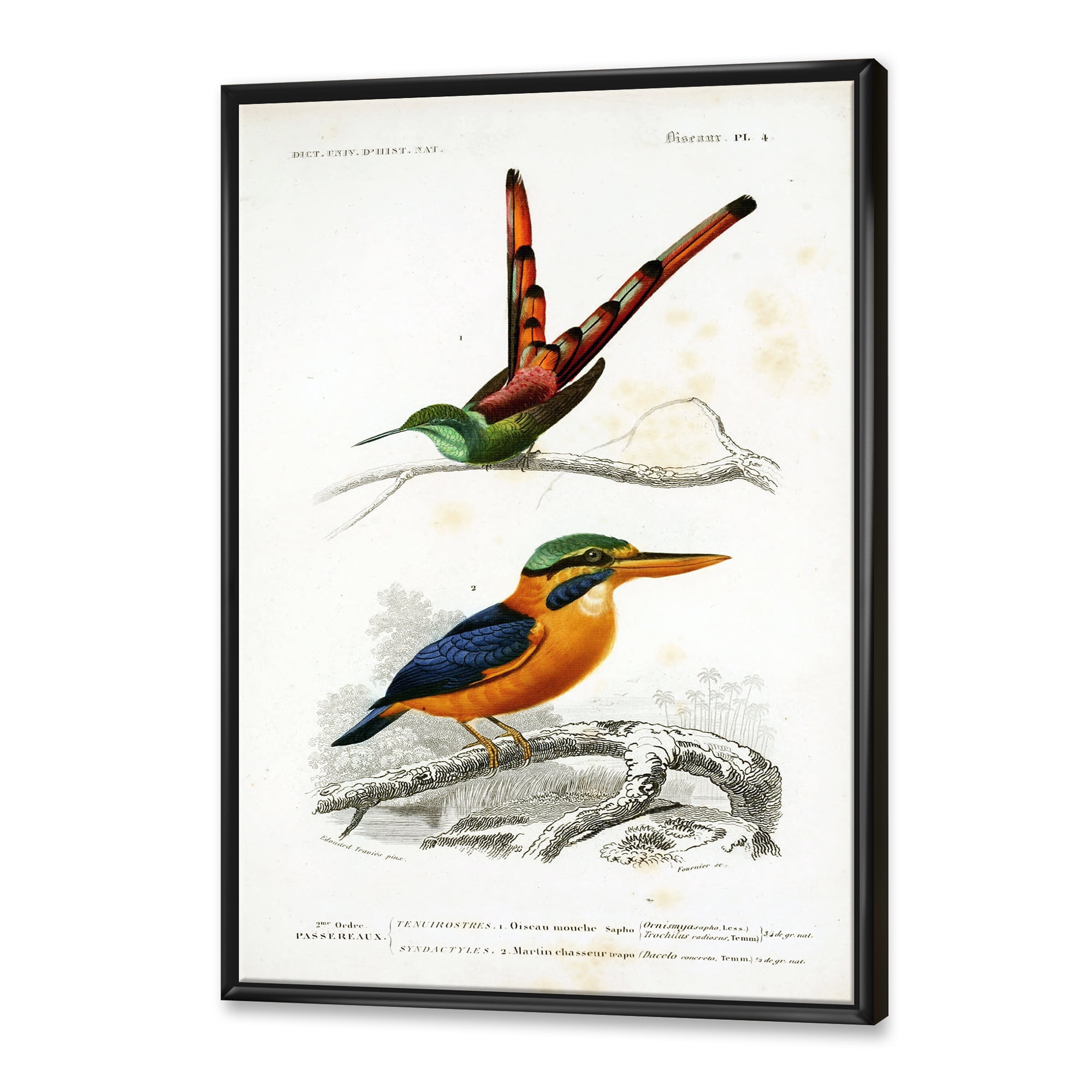 Ancient Bird I 30 in x 40 in Framed Painting Canvas Art Print, by Designart