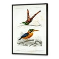 thumbnail image 3 of Designart 'Ancient Bird I' Traditional Framed Canvas Wall Art Print, 3 of 5