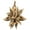 Bleached, variant on Vickerman 6" White Wash Star Pod, 1 piece, Dried