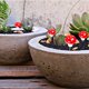 thumbnail image 3 of Bricolaje jardín en maceta bonsái decoración Props artesanía espuma planta Mini seta Artificial Hugtrwg  Para estrenar, 3 of 7
