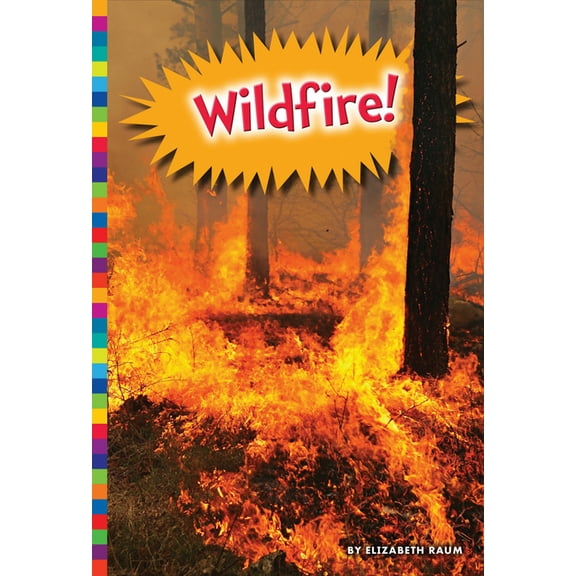 Natural Disasters: Wildfire! (Paperback)