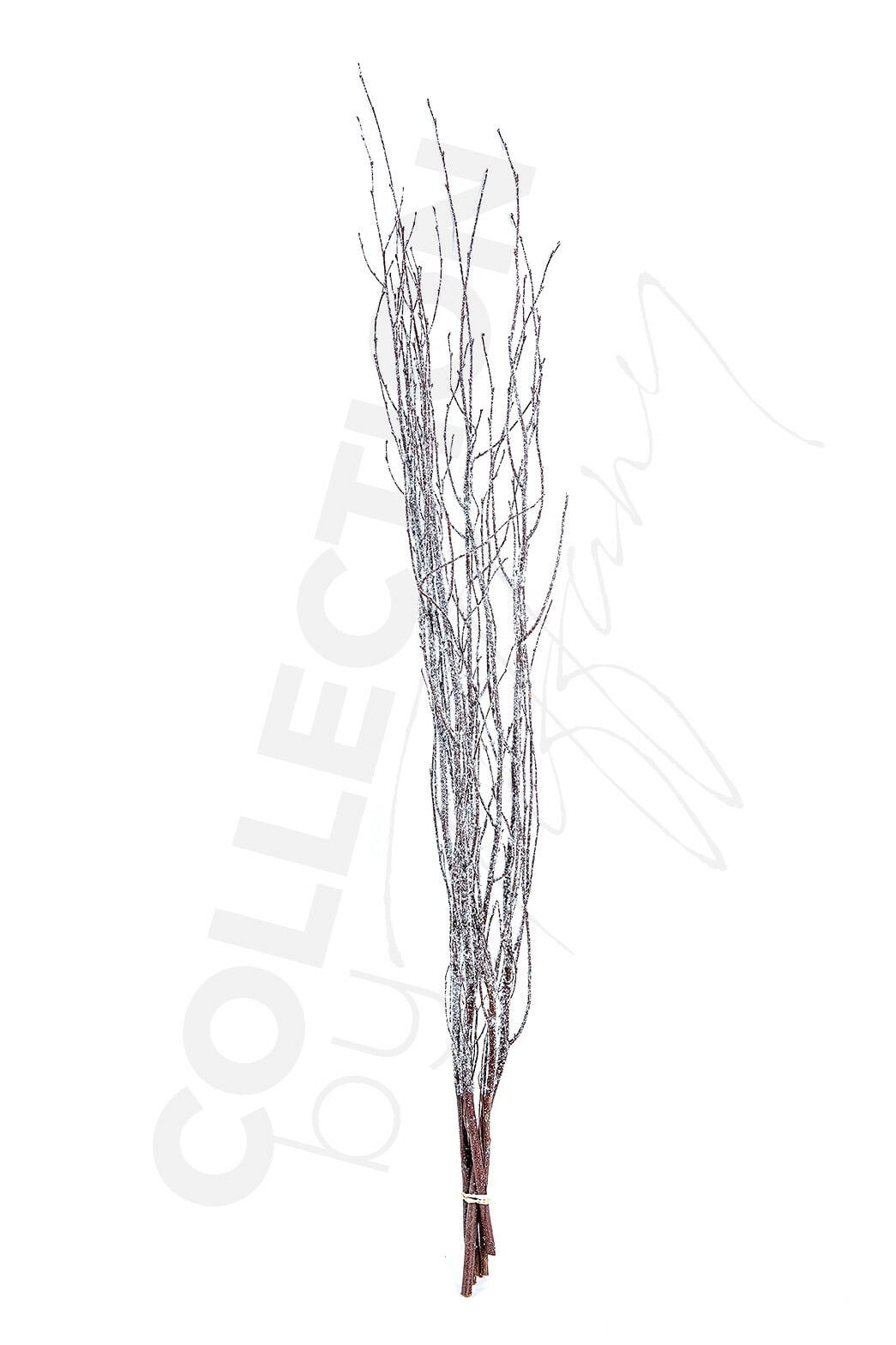 Decorative Dried Birch Branches 3 4 Ft Tall (4 5 Branches / Bunch) Lace