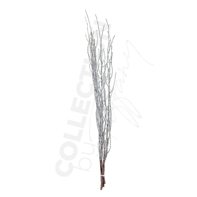 Decorative Dried Birch Branches 3 4 Ft Tall (4 5 Branches / Bunch