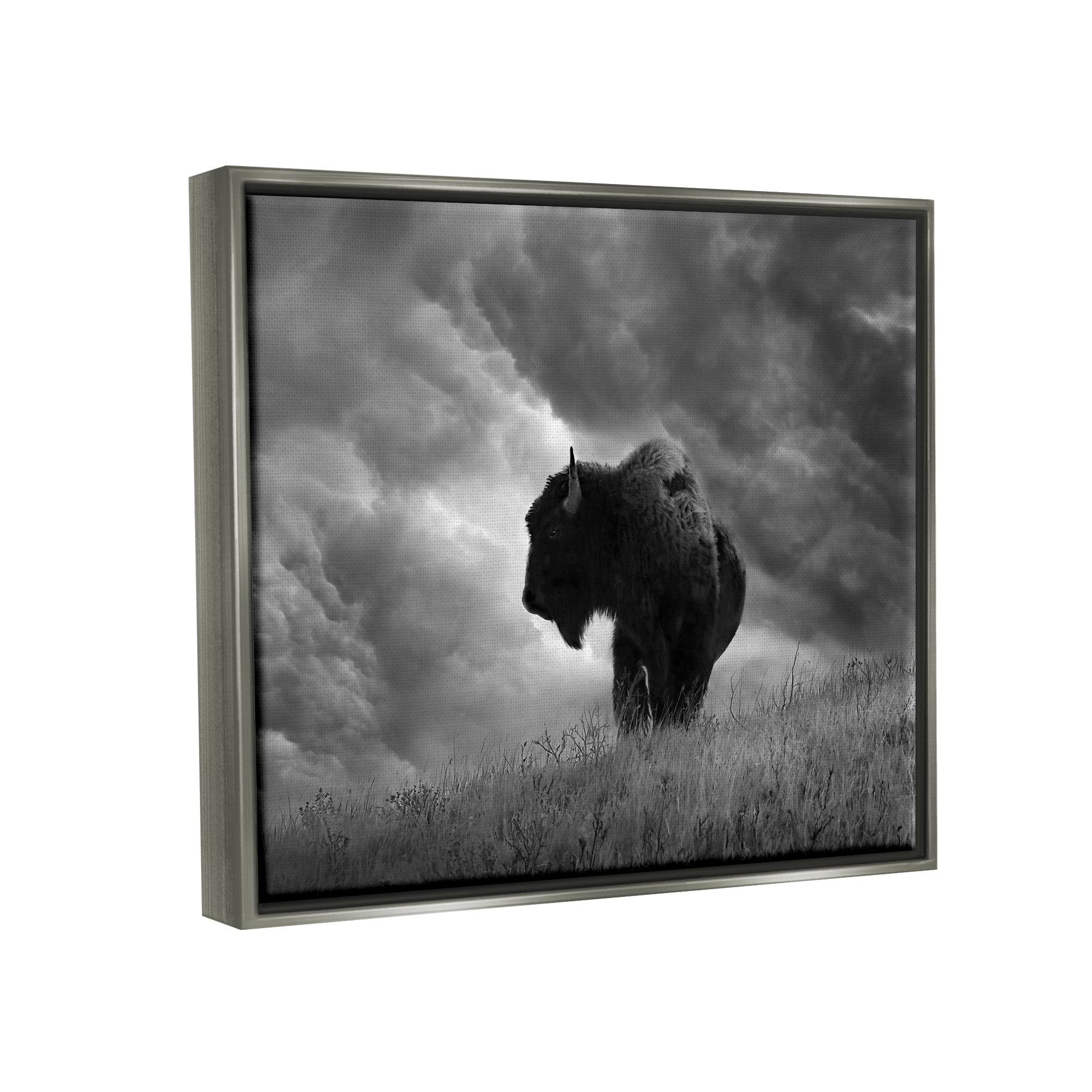 Stupell Industries Ox in Cloudy Landscape Animals & Insects Photography Gray Floater Framed Canvas Art Print Wall Art, 21 x 17