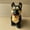 Black, variant on PPgejGEK Robot Dog Toys Interactive Electronic Puppy Sound Control Teddy Walk Bark with Music Touching Control Robotic Pet Sales