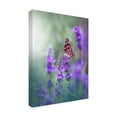 thumbnail image 4 of Canvas Wall Art - Juliana Nan 'Lavender Queen  ' Wall Art for Living Room, Bedroom, or Office D?cor by Trademark Fine Art - 24 x 32 Inches, 4 of 4