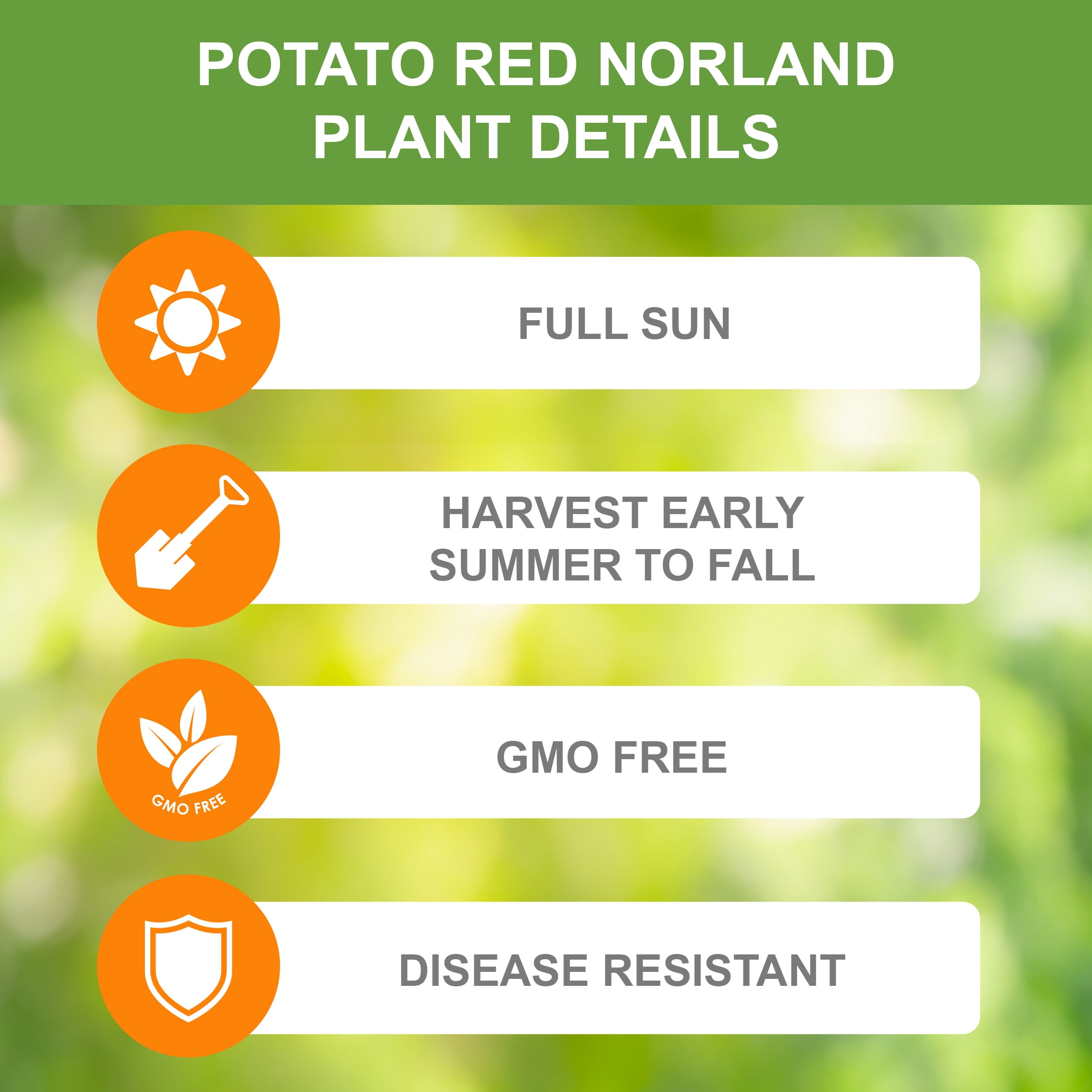 Garden State Bulb Red Norland Seed Potatoes for Planting, Non-GMO (20LB Bag )