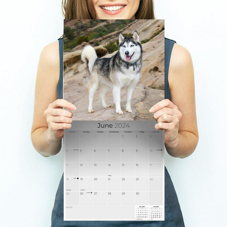 2023 2024 Siberian Husky Calendar - Dog Breed Monthly Wall Calendar - 12 x  24 Open - Thick No-Bleed Paper - Giftable - Academic Teacher's Planner  Calendar Organizing & Planning - Made in USA - Walmart.com