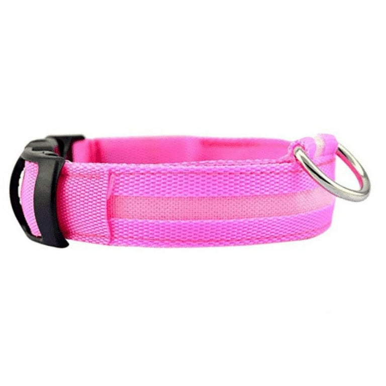 Dog collar blinking lights sale