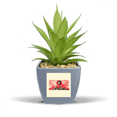 thumbnail image 1 of Chinese Red Education Propaganda Fake Pineapple Flower Pot Vase Mini Decor, 1 of 3