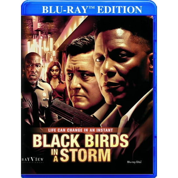 Black Birds In A Storm (Blu-ray), Bayview Ent, Drama