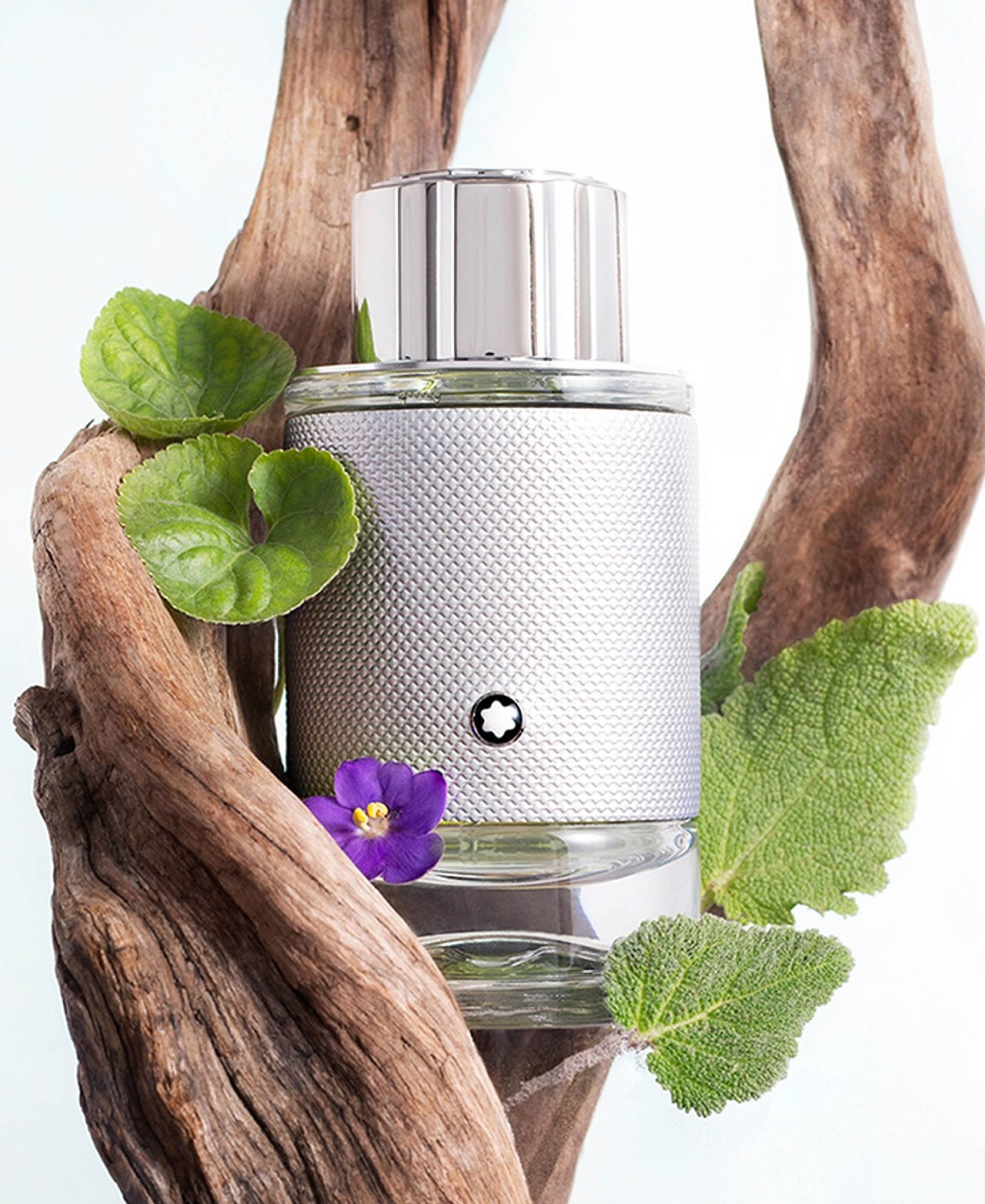 Mont Blanc Explorer Platinum , 3.3 oz EDP Spray - Walmart.com