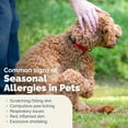 thumbnail image 6 of Vetnique Dermabliss Dog Itch Relief Spray with Hydrocortisone for Dogs & Cats, 4 oz, 6 of 12