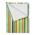 thumbnail image 2 of Striped Soft Flannel Fleece Throw Blanket, Vibrant Lines Pattern Textured Inspirational Uniform Vein Rod Forms Image Print, Cozy Plush for Indoor and Outdoor Use, 50" x 70", Multicolor, by Ambesonne, 2 of 5