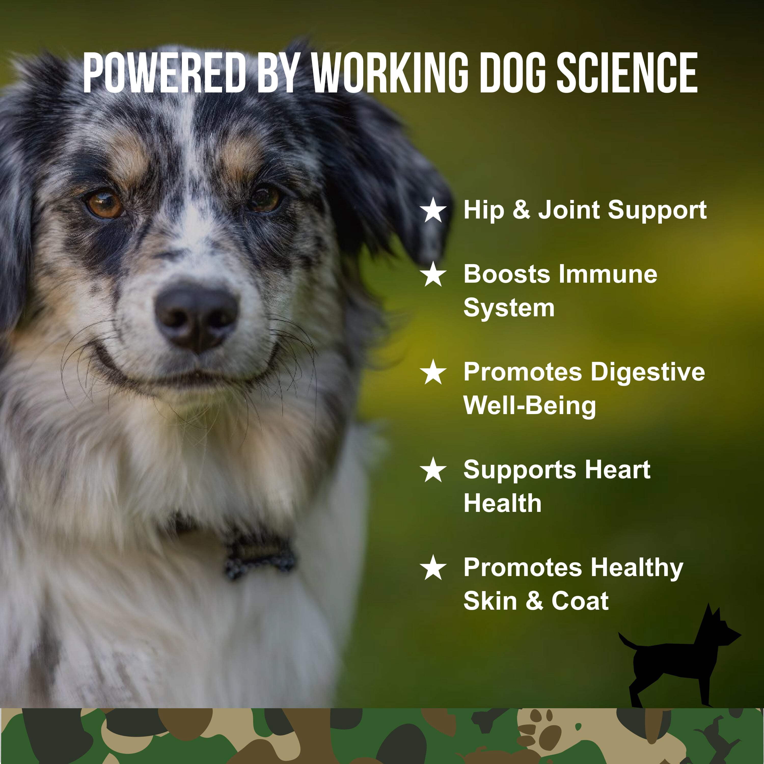 Operation Good Boy SRE: Multi-Function Support Supplement for Dogs, Beef Liver Flavor, Ready to Eat, 90 Soft Chews