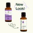 thumbnail image 6 of Plant Therapy Essential Oils Lavandin 30 mL (1 oz) 100% Pure, Undiluted, 6 of 9