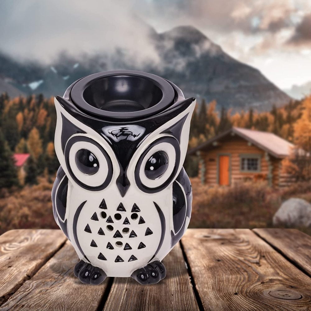 Penguin on sale wax warmer