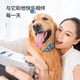 thumbnail image 2 of Pararrayos automático para perros, entrenador inteligente para perros, nuevo Collar electrónico automático para prevención de ladridos de perros, 2 of 2