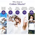 thumbnail image 3 of AUQ 100% Pure Egyptian Cotton 800 Thread Count Sheet Set,4 Pc Set,Sateen Weave,Soft Luxury Bedding,Fits Upto 21" Inch Deep Pocket (Navy Blue Solid,King Size), 3 of 7