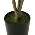 thumbnail image 6 of Noble House Hartshorn 7' x 3' Artificial Pieris Tree, Green, 6 of 8