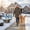 B, variant on LmnLft Pet Friendly Sidewalk Salt,Pet-Safer Ice Melt,Non-Staining Melt,100G Bag-Fast-Acting Pet Friendly Ice & Snow Melter for Concrete & Metals,Effective Up to -13°,for Patios,Driveways & Home