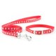 thumbnail image 1 of Ancol - Set de collar y correa de nylon para cachorros (Rojo), 1 of 1