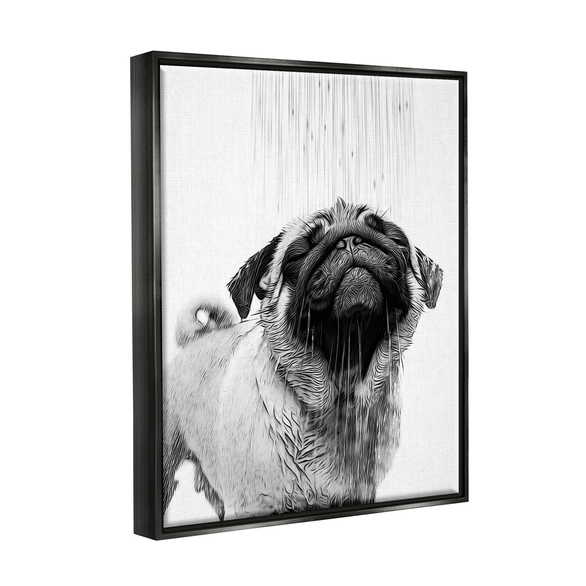 Stupell Industries Pug Bathroom Splash Animals & Insects Painting Black Floater Framed Canvas Art Print Wall Art, 17 x 21