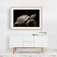 thumbnail image 6 of Portrait of a puma - Photography Animal Wildlife Nature Portrait Minimalist Unframed Wall Art Print 16 x 24 inches, 6 of 7