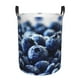 thumbnail image 1 of Fotbe Blueberry Cesto de Ropa con Asas, Cesto Impermeable de Gran Capacidad, Bolsa de Lavado para Dormitorio, Cesto de Ropa con Ruedas y Asas-Medium, 1 of 6