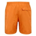 thumbnail image 2 of Regatta Mens Mackleyna Swim Shorts, 2 of 5