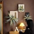 thumbnail image 3 of Artificial Antler Fern with Wooden Frame, 3 of 6